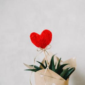 成人黄色免费电影
