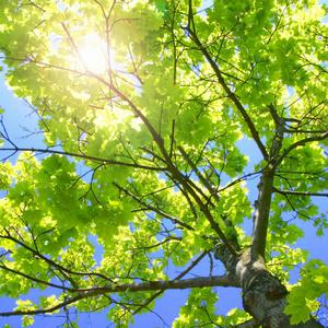 成人黄色免费电影
